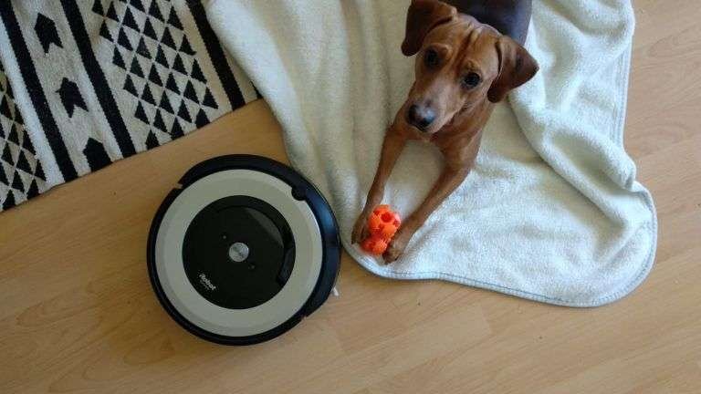 roomba mascotas