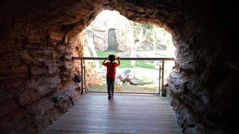 #experienciamuchosol