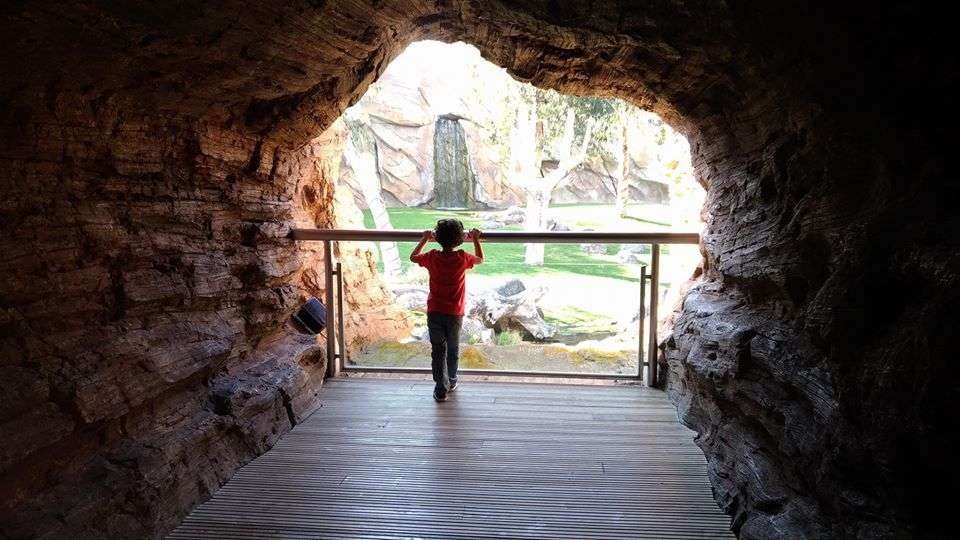 #experienciamuchosol