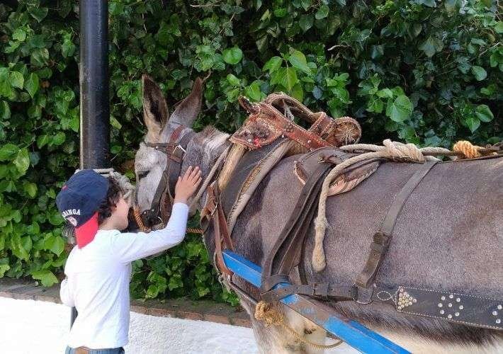 educar con disciplina positiva