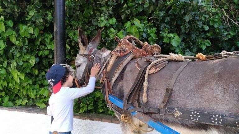 educar con disciplina positiva